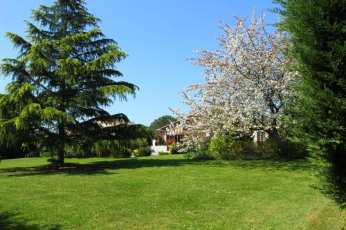a lawn with trees and a house in the background at le mas des cerisiers le temple sur lot in Le Temple-sur-Lot