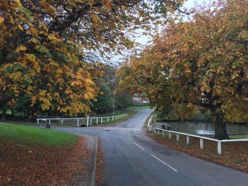 a road with a fence next to a river and trees at Scalby Grove Cottage in Scalby
