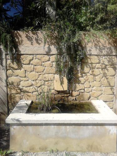 a stone wall with a tree in a planter at La Maison de Charlie in Vaugines