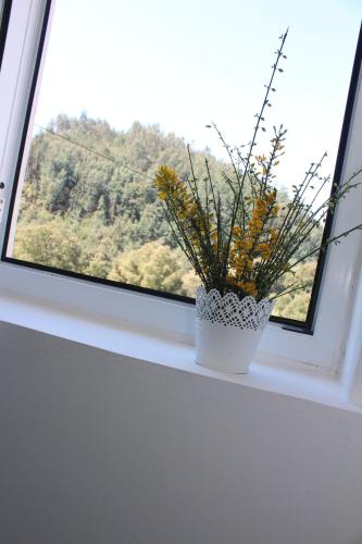 a vase with flowers sitting on a window sill at Casa do Rio - Penacova in Raiva