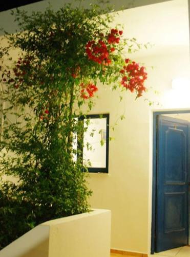 a plant with red flowers on a wall next to a door at Fragokastello Star in Frangokastello