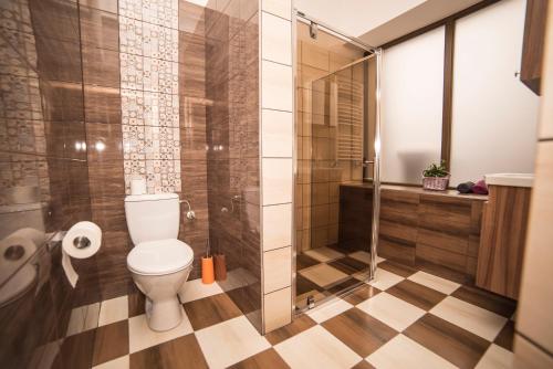 a bathroom with a toilet and a shower at Noclegi Andersa in Wałbrzych