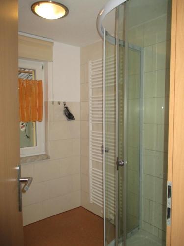 a bathroom with a shower with a glass door at Ferienhaus Mack in Wernigerode