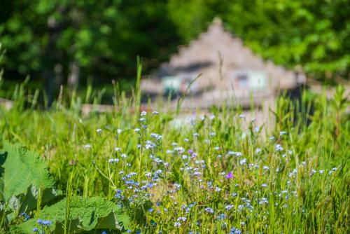 a field of flowers with a house in the background at Il Borgo Dei Celti in Fiumalbo