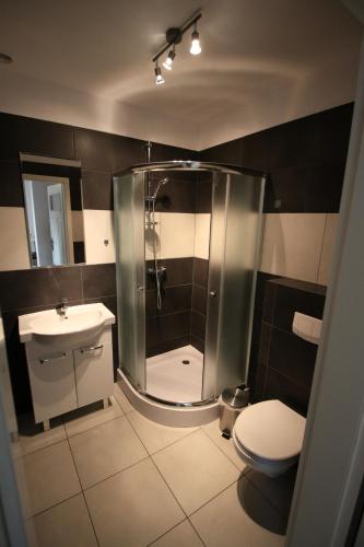 a bathroom with a shower and a toilet and a sink at Mylin in Chrzypsko Wielkie