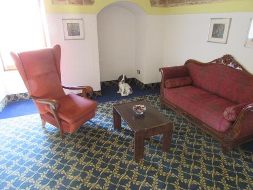 a living room with a couch and a chair and a dog at Masseria Sant'Anna in Bari