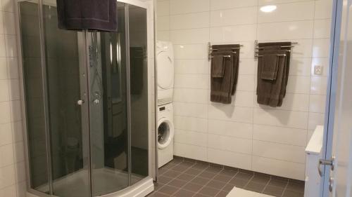 a bathroom with a shower and a washing machine at Hansnes Havfiske in Hansnes