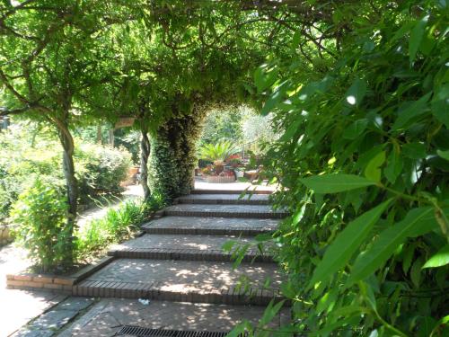 a garden with a path with trees and plants at Agriturismo La Casa Del Ghiro in Pimonte