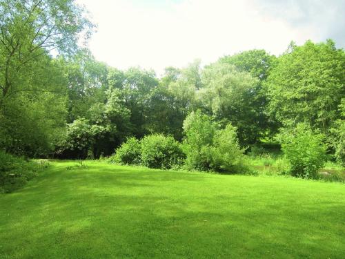 a large green field with trees in the background at Alpine Getaway in Neustift in Treignes