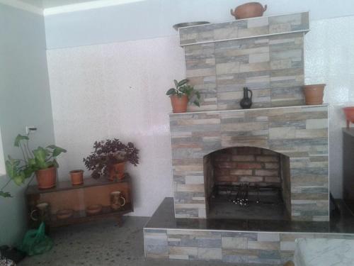 Galeriebild der Unterkunft Guesthouse Vashlovani in Lagodechi