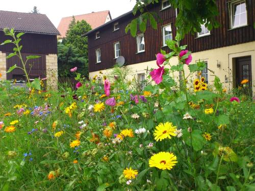 a field of flowers in front of a house at Comfy Apartment in Wei ig with Garden in Weißig