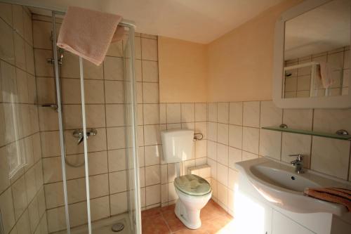 ein Bad mit einer Dusche, einem WC und einem Waschbecken in der Unterkunft Hainich-Zeit in Eigenrieden