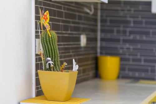 Fotografie z fotogalerie ubytování Apartment Nedo v destinaci Sveti Filip i Jakov