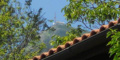 a view from the top of a roof with trees at Agriturismo La Casa Del Ghiro in Pimonte