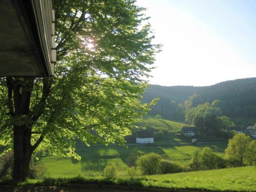 vistas a un campo verde con un árbol en Apartment in Kirchhundem in the middle of nature, en Silberg