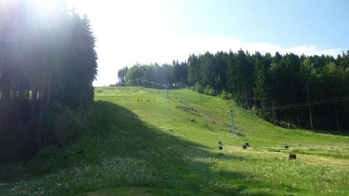 a group of people walking on a grassy hill at Penzion Horalka in Hlinsko