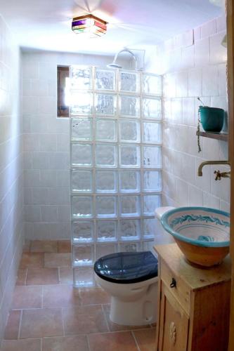 a bathroom with a sink and a toilet and glass shelves at Casa Escondida in Albuñuelas