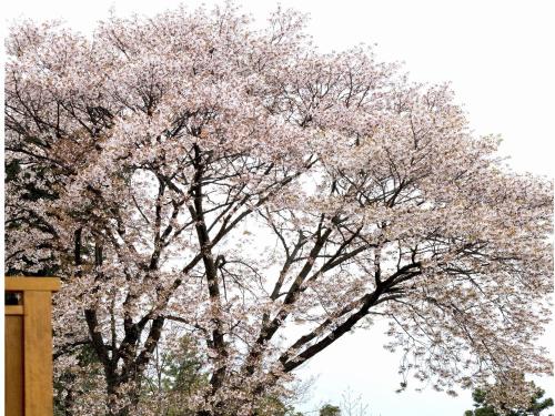 Fotografie z fotogalerie ubytování Hakone Kyuan v destinaci Hakone