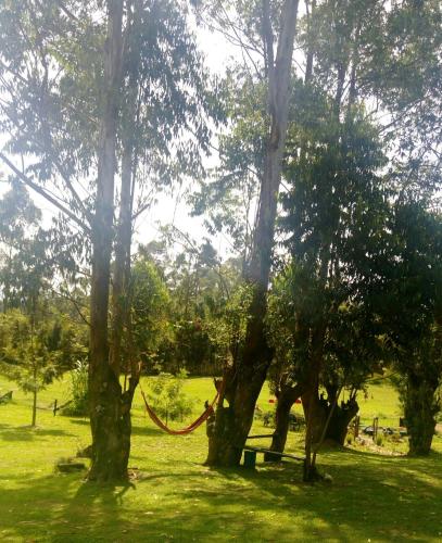 Gallery image of Kalitusi Nature Resort in Fort Portal
