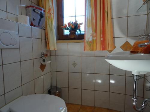 a bathroom with a toilet and a sink and a window at Badhaus in Achenkirch