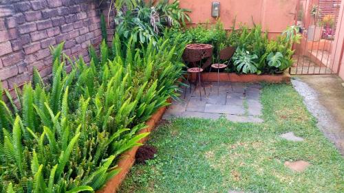 a garden with plants next to a brick wall at The View Holiday Home in Graskop