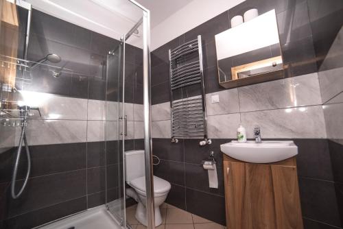 a bathroom with a toilet and a sink and a shower at Noclegi Andersa in Wałbrzych