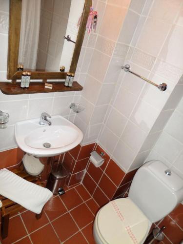 a bathroom with a toilet and a sink at Arhontiko Aristis in Aristi