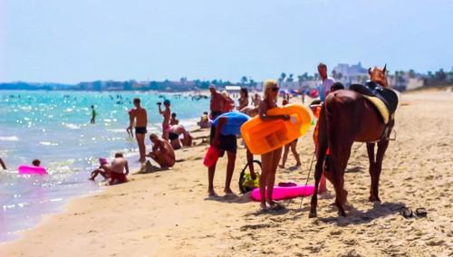 a group of people on a beach with a horse at Sahara Beach Aquapark Resort in Monastir