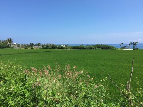 a field of green grass with the ocean in the background at Tamowan in Donghe