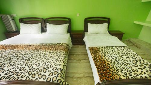 two beds in a room with green walls at Kasbah Hotel Camping Jurassique in Ifri