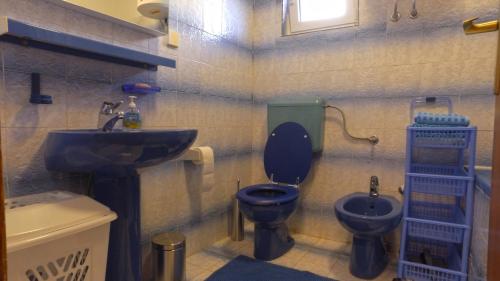 a bathroom with a blue toilet and a sink at Apartment Branko Brodarica in Brodarica