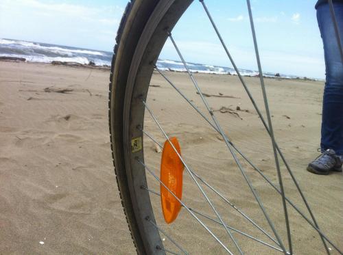 an orange object sticking out of a tire on the beach at Maébrilu Camargue Provence in Salin-de-Giraud