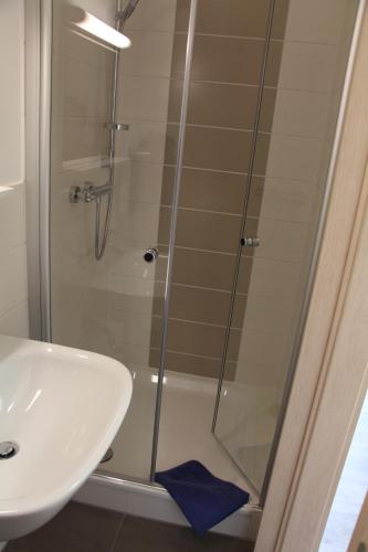 a shower with a glass door next to a sink at Pension Am Ziegelwall in Bautzen