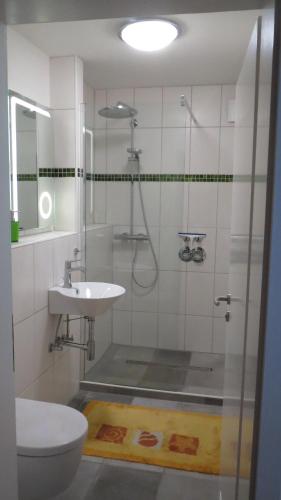 a bathroom with a shower and a sink and a toilet at Sonnengruss am Strand in Eckernförde
