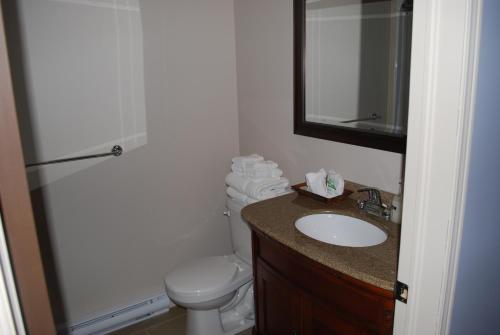 a bathroom with a toilet and a sink and a mirror at Petit Hôtel Amara in La Malbaie