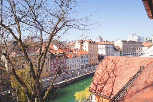 a view of a city with a river and buildings at Julija&Robert's Riverview Apartments and Rooms in Ljubljana