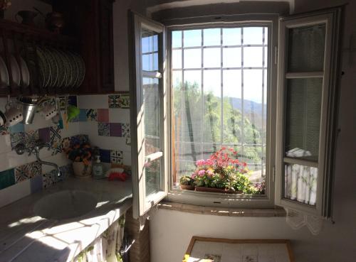 a kitchen with a sink and a window with a view at La casina delle rondini in Corsanico-Bargecchia