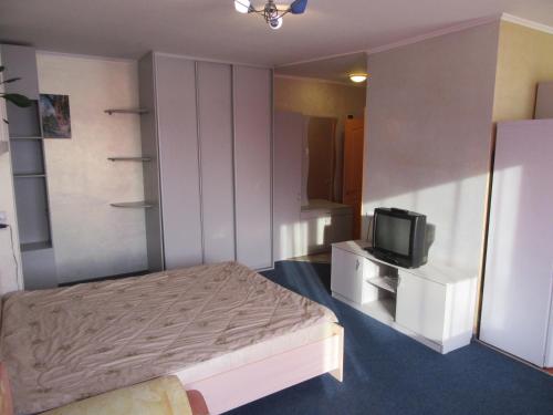 ペルミにあるApartment on Gleba Uspenskogo 4の小さなベッドルーム(ベッド1台、テレビ付)