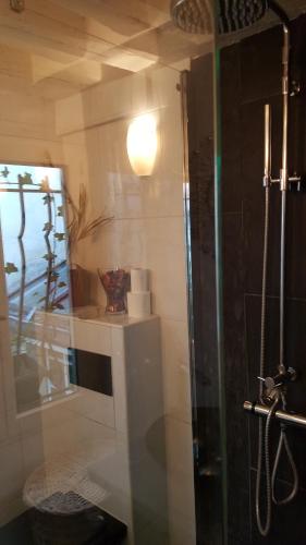 une salle de bain avec une douche avec une porte vitrée dans l'établissement Duplex Notre Dame, à Paris
