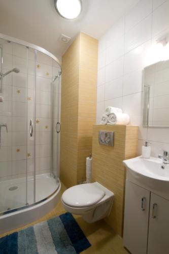 a bathroom with a toilet and a shower and a sink at Zorza in Sztutowo