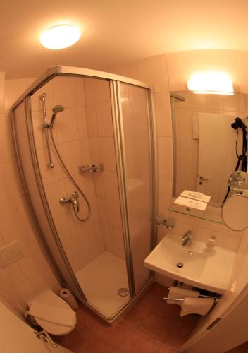 a bathroom with a shower and a toilet and a sink at Bio-Pension Bliem in Altenmarkt im Pongau