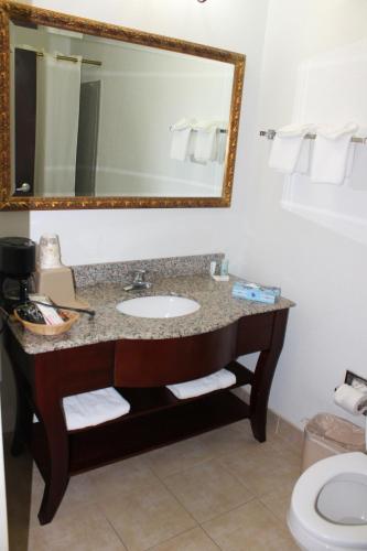 Un baño de Quality Inn & Suites Port Arthur - Nederland