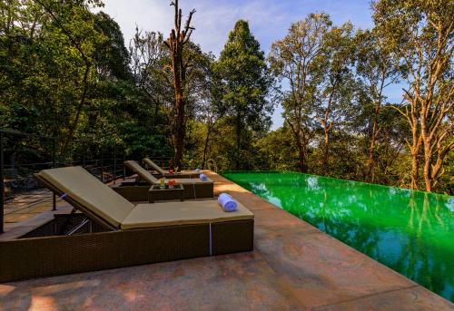 - une piscine à côté d'une piscine verte dans l'établissement Wayanad Wild - Rainforest Lodge by CGH Earth, à Vythiri