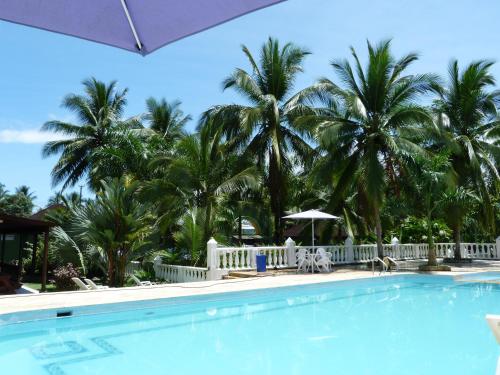 una piscina en el complejo con palmeras en el fondo en Hotel Costa Choco, en Bahía Solano
