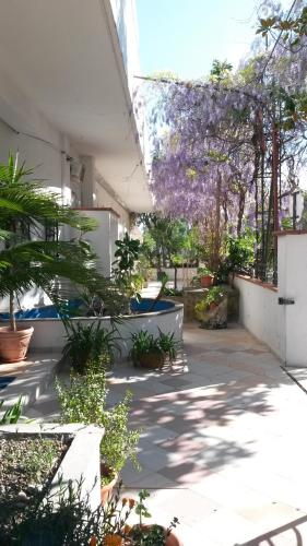 Hotel Calla' – عکس‌ها 3