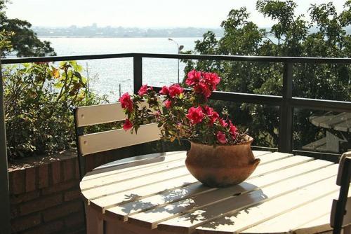 a wooden table with a pot of red flowers on it at Edificio Nicolas y Marcelo Siry in Posadas
