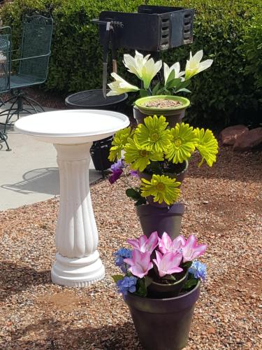 three potted plants and a white table and flowers at Lake Powell Canyon Inn in Page