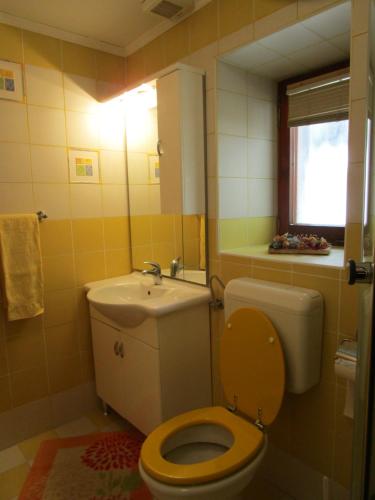 y baño con aseo y lavamanos. en Apartma Pr Maruši en Bovec