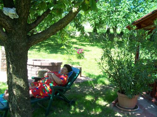 a woman sitting in a chair under a tree at Júlia Vendégház in Zalakaros