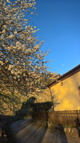 a tree with white flowers on it next to a fence at Antichi Feudi Dimora D'Epoca in Teggiano